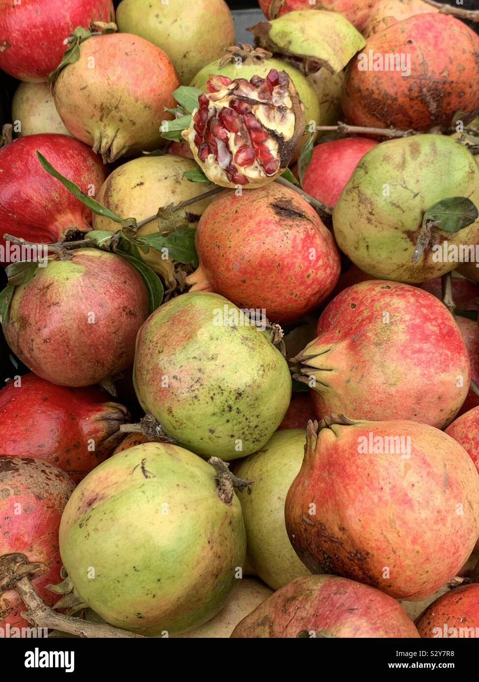 Fresh pomegranates at the fruit market Stock Photo