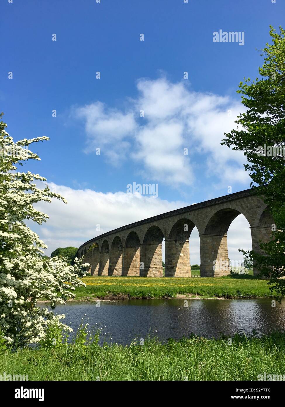 Arthington viaduct, Yorkshire, United Kingdom - Smartphone Captured Stock Image