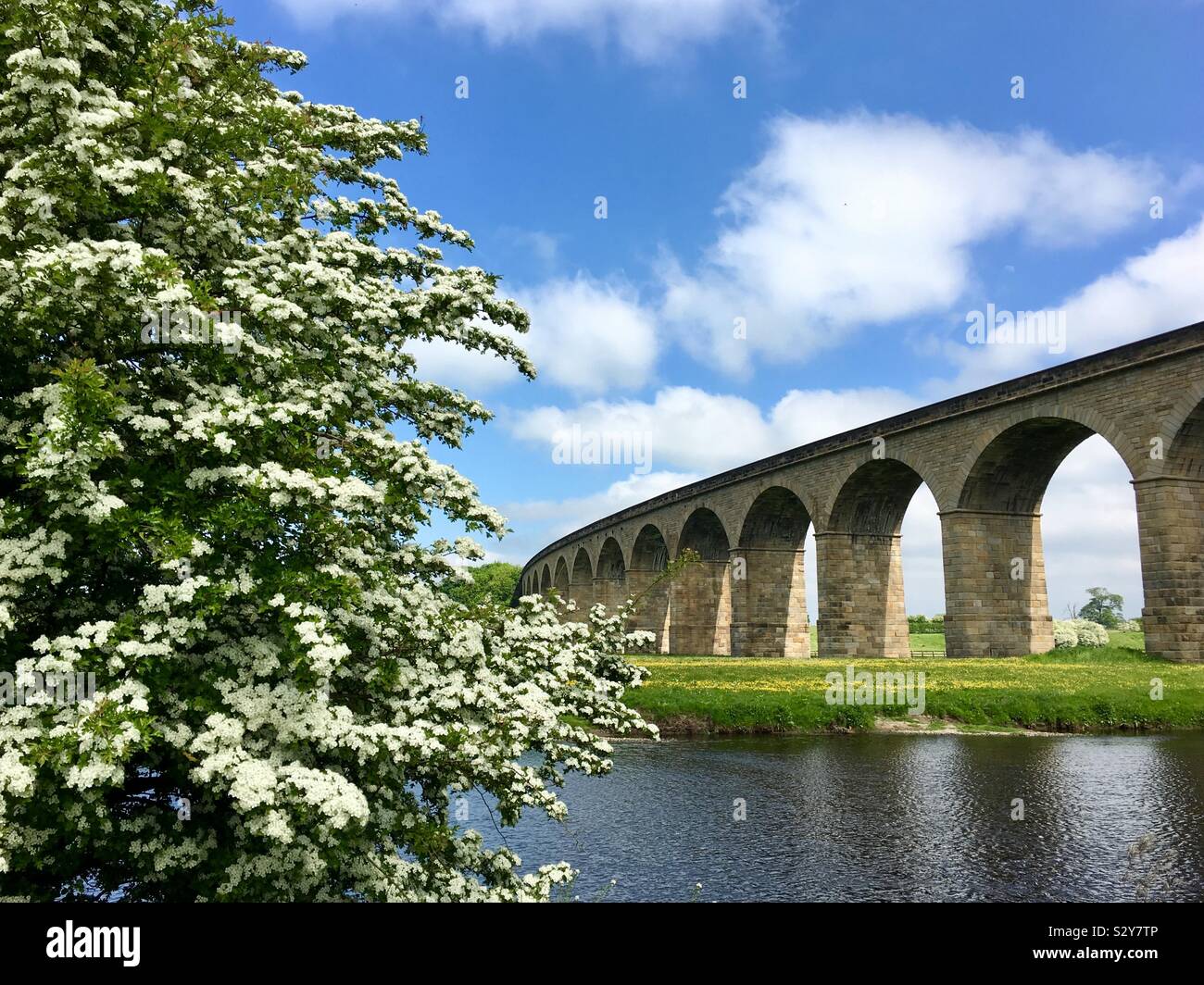 Arthington viaduct, Yorkshire, United Kingdom - Smartphone Captured Stock Image