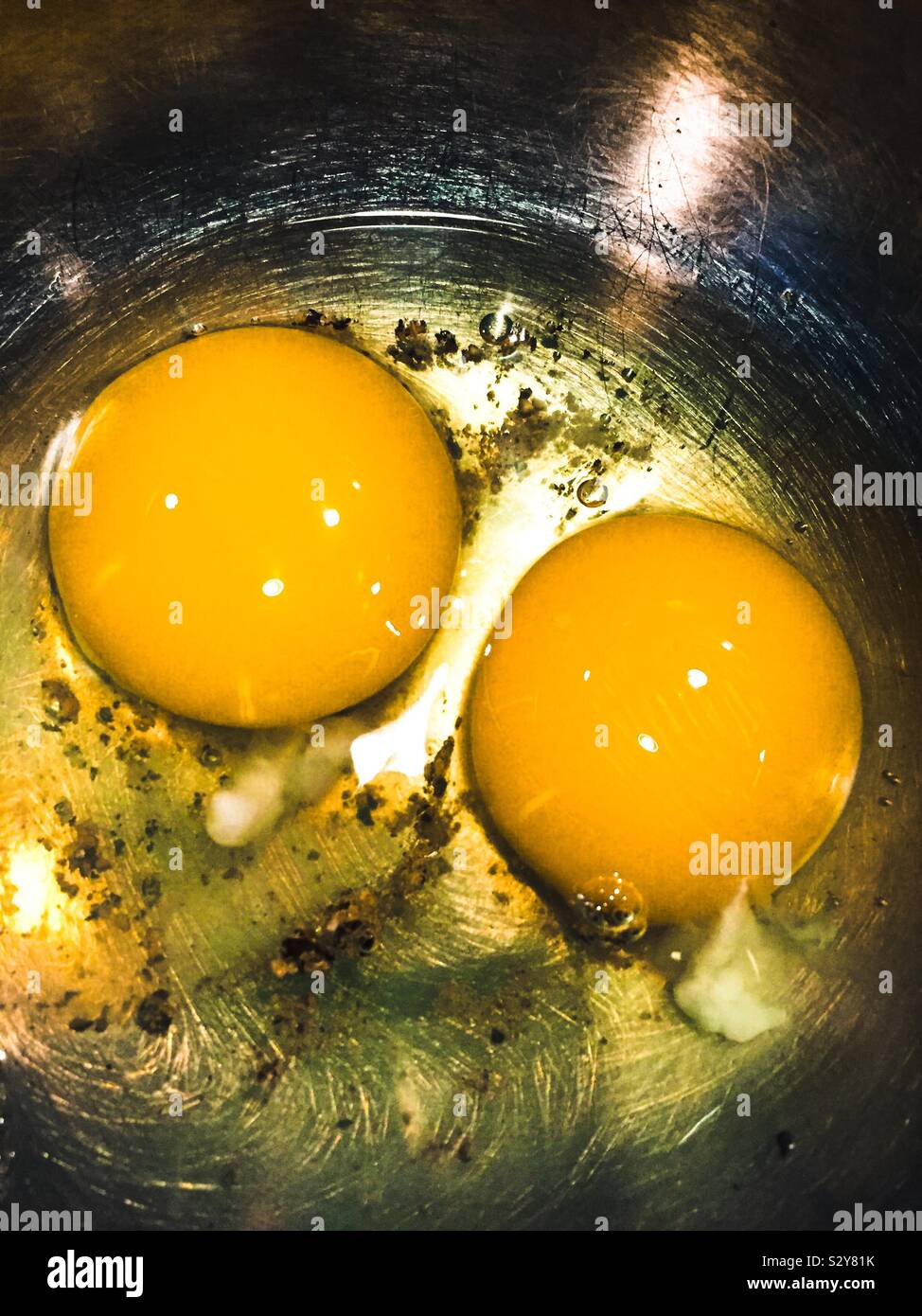 Two egg yolks in egg white. Stock Photo