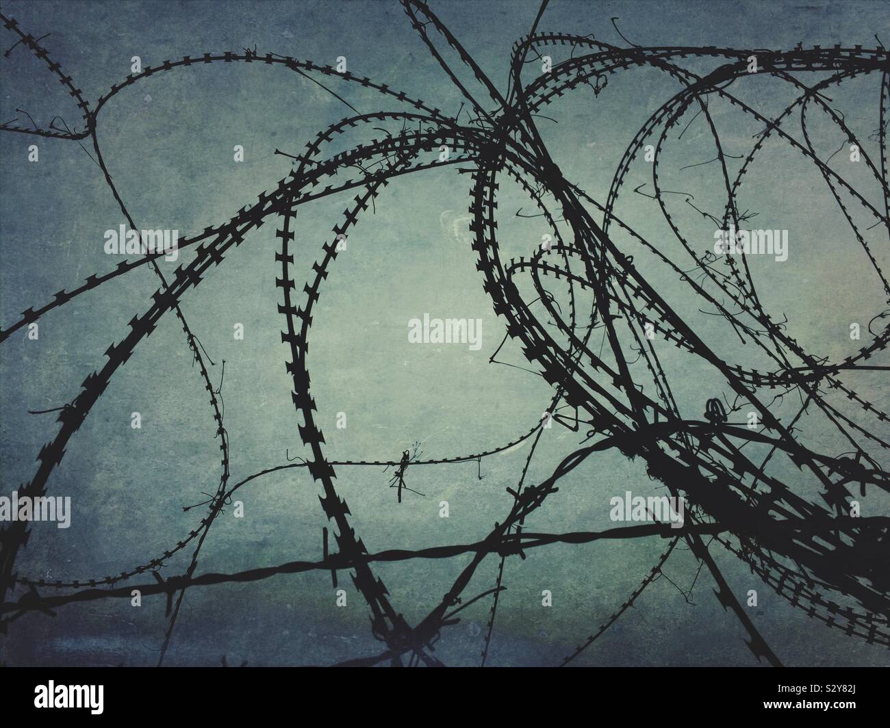 Tangled barbed wire Stock Photo
