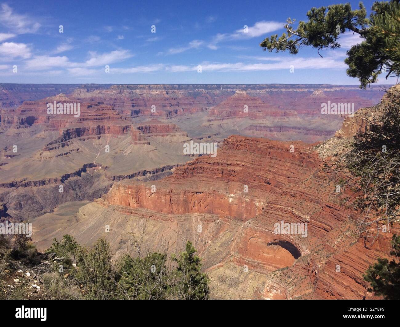 Grand Canyon national park, south rim, Arizona, USA - Smartphone Captured Stock Image