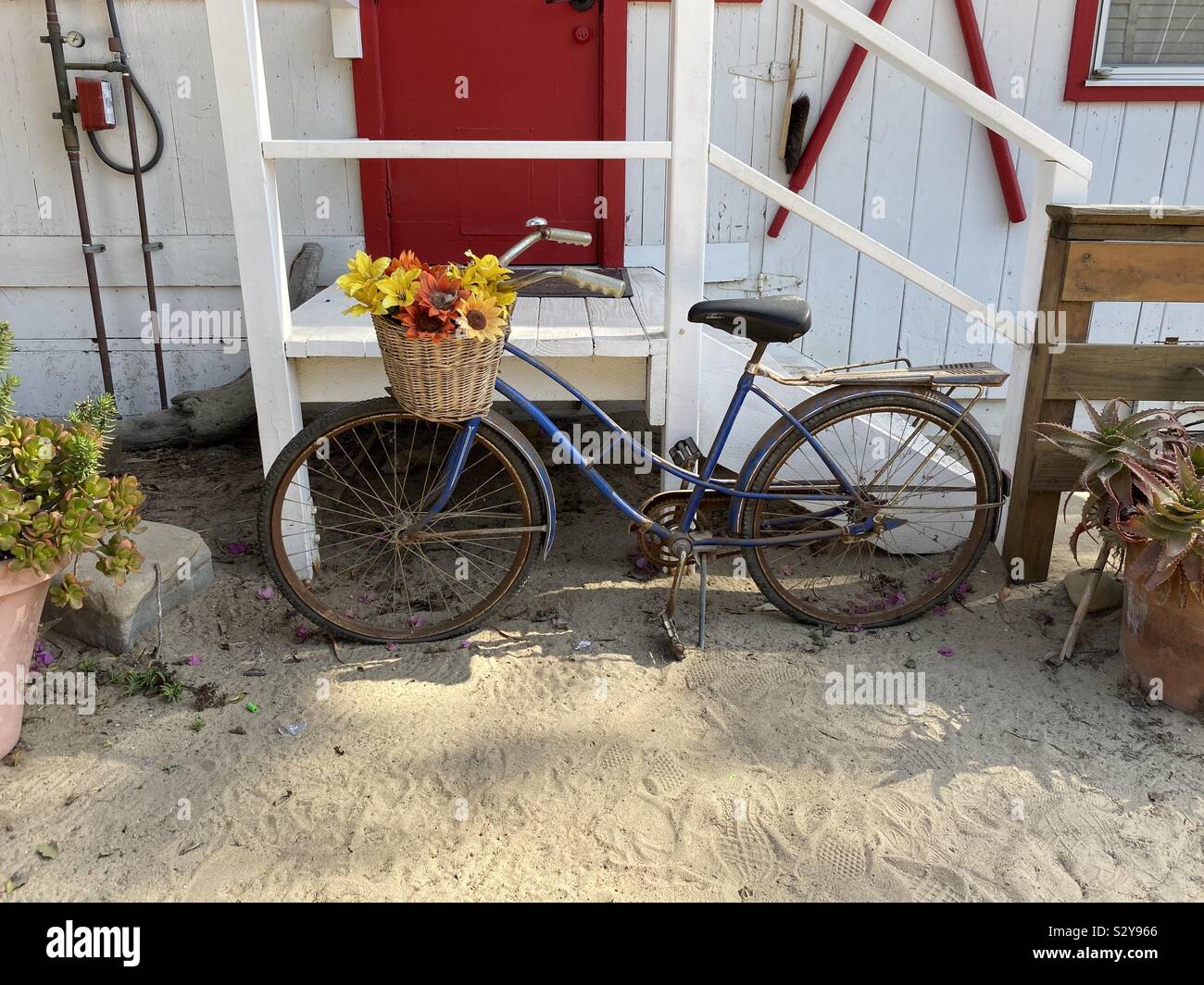 Old bicycle with a cute basket of flowers attached to it - Smartphone Captured Stock Image
