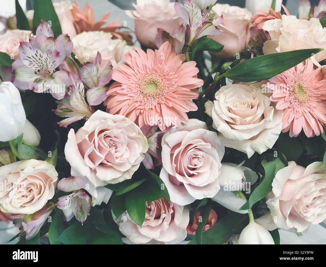 Greenery bouquet hires stock photography and images Alamy