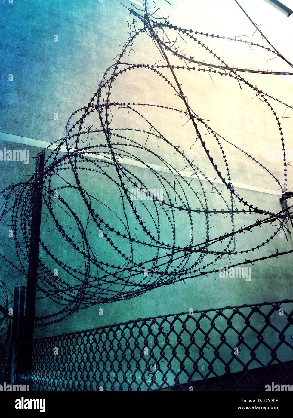 Barbed wire Stock Photo