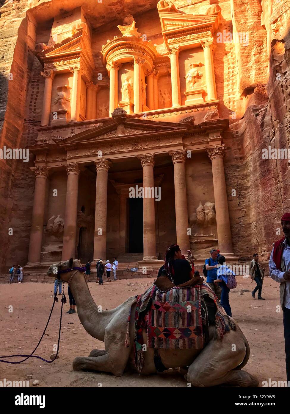 Camel at the treasury Petra Jordan - Smartphone Captured Stock Image