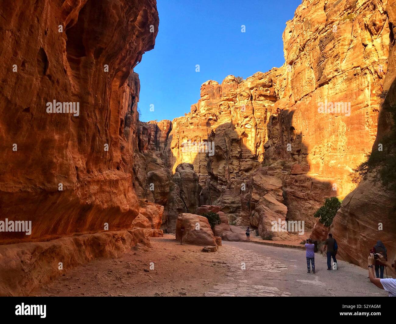 Walking through the siq at Petra - Smartphone Captured Stock Image