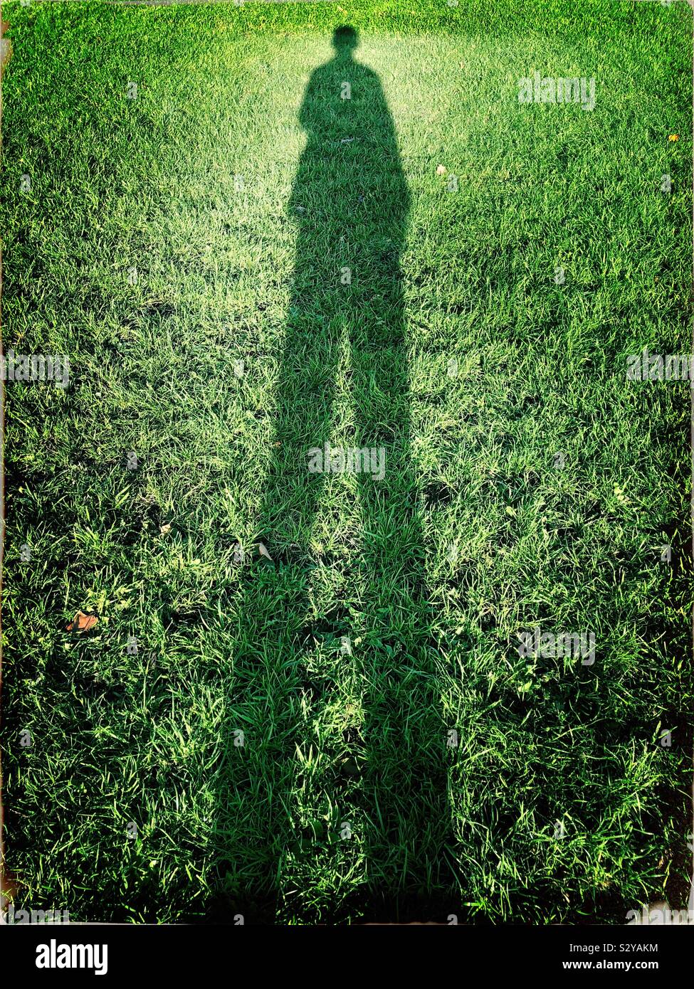 A person’s tall shadow on green grass - Smartphone Captured Stock Image