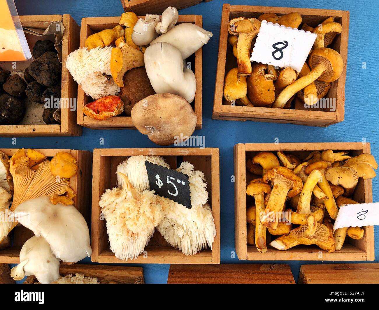 Foraged mushrooms varieties at the market - Smartphone Captured Stock Image