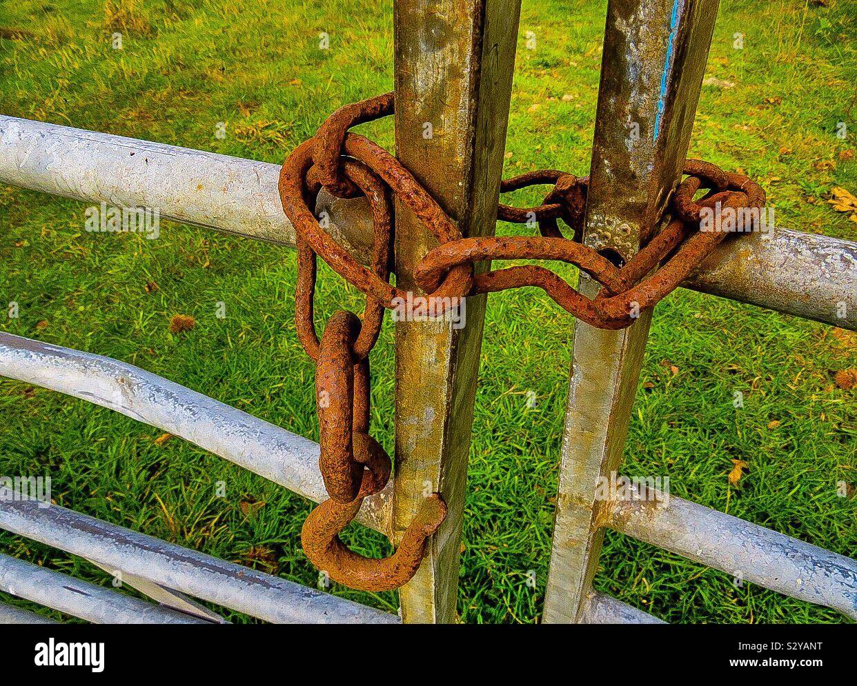 Farm gate chain hi-res stock photography and images - Alamy