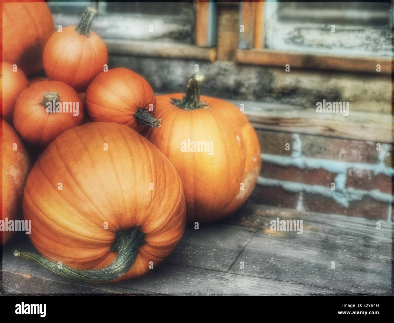 Small Pile of Pumpkins on Wooden Bench Against Weathered Brick Building - Smartphone Captured Stock Image