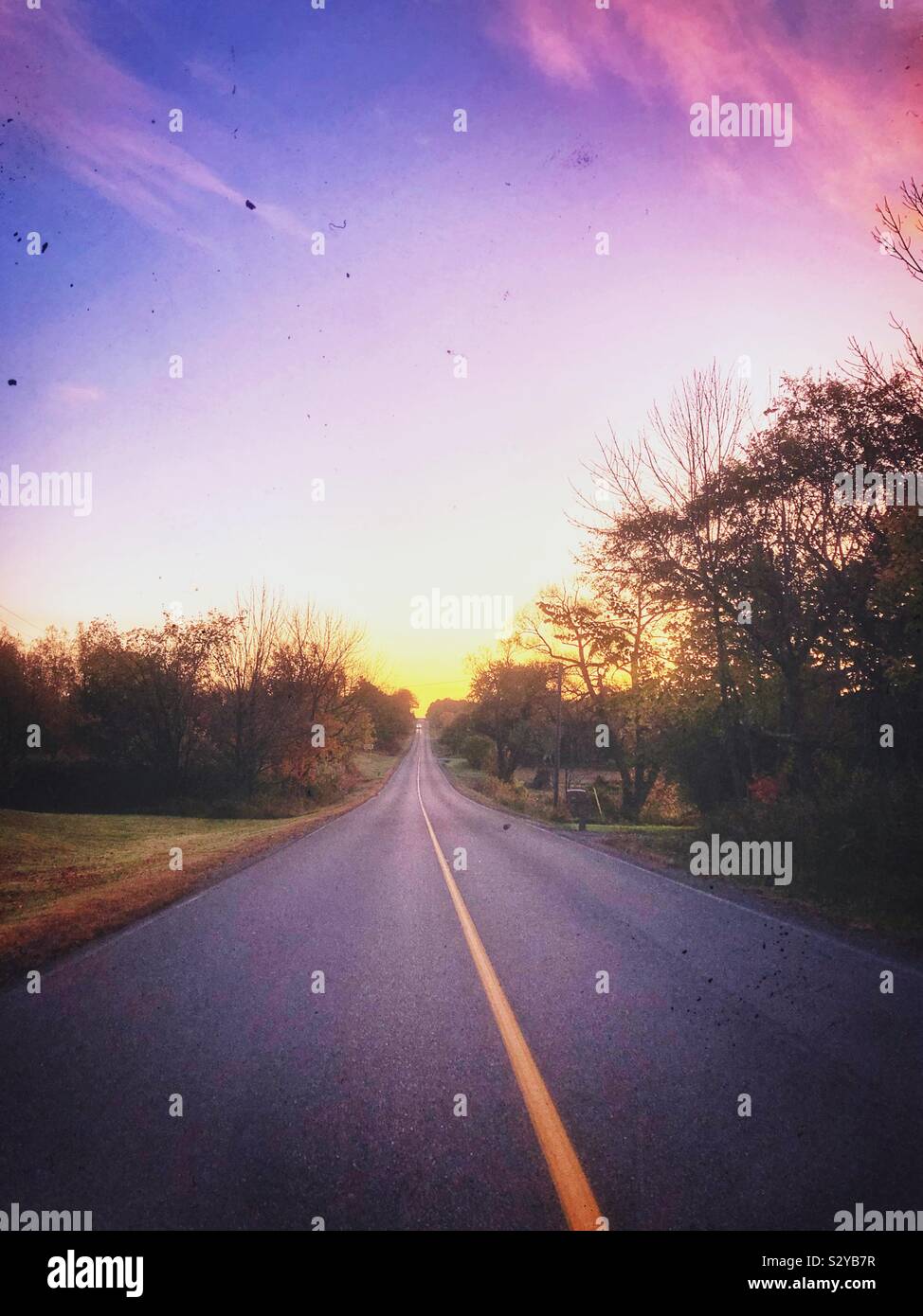 View looking down long country road lined with trees at sunrise - Smartphone Captured Stock Image