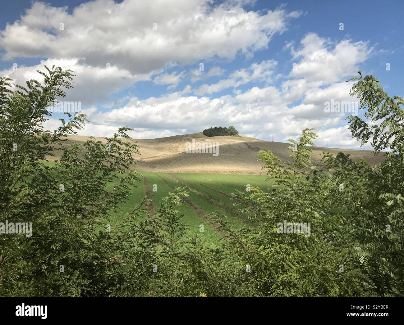 Tuscan landscape captured from a moving train - Smartphone Captured Stock Image