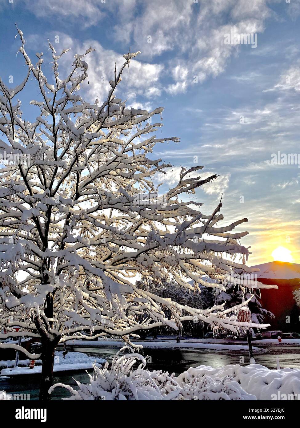 Sunrise snowfall Stock Photo