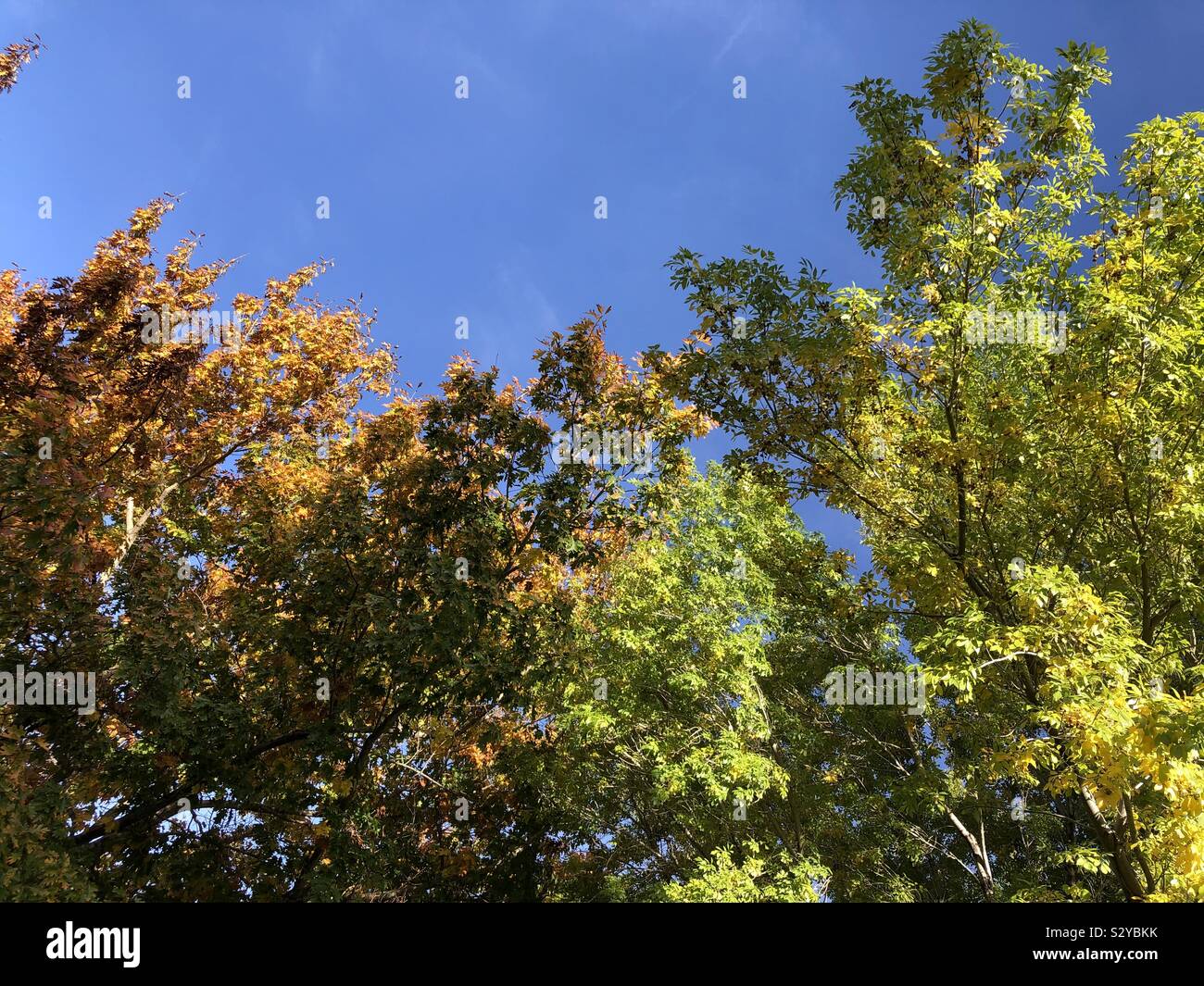 Autumn, Northern California Stock Photo Alamy