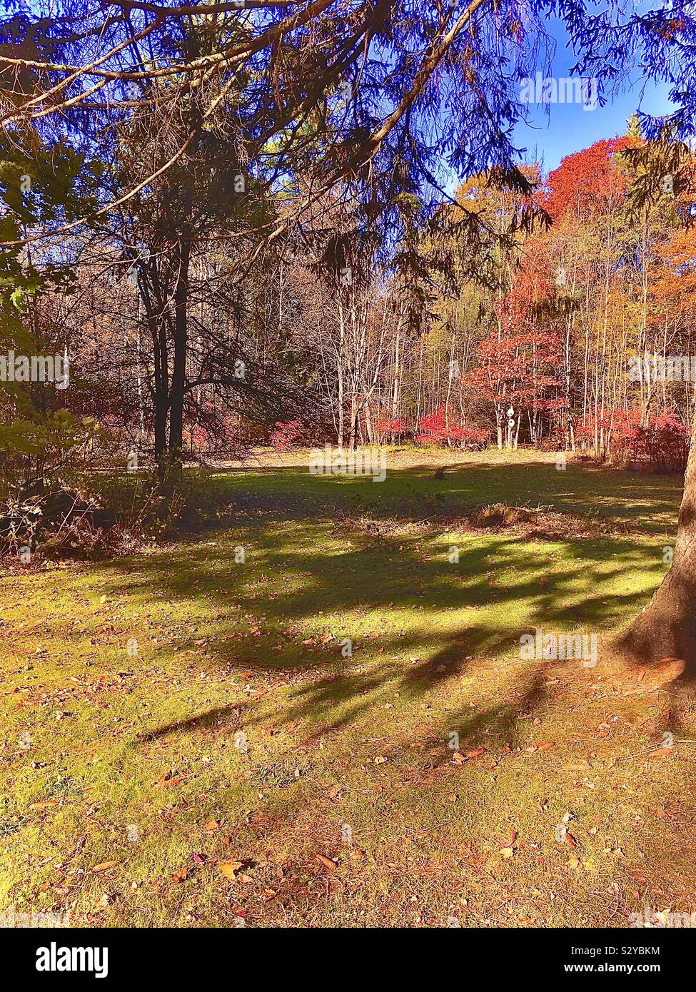 Autumn in the Berkshires - Smartphone Captured Stock Image