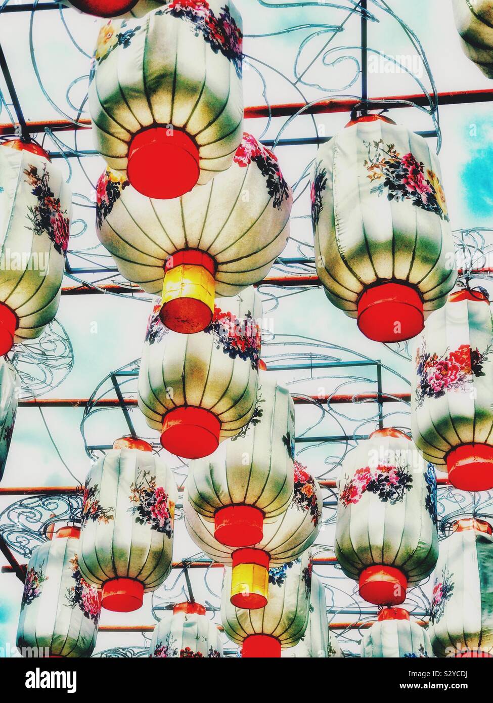 Chinese lanterns at Cleveland Metroparks Zoo - Smartphone Captured Stock Image