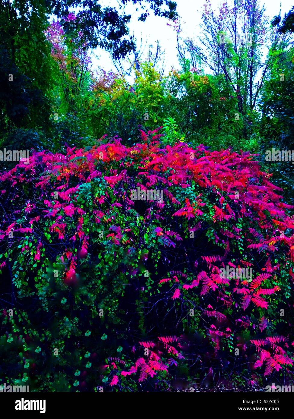 Enhanced colors hires stock photography and images Alamy