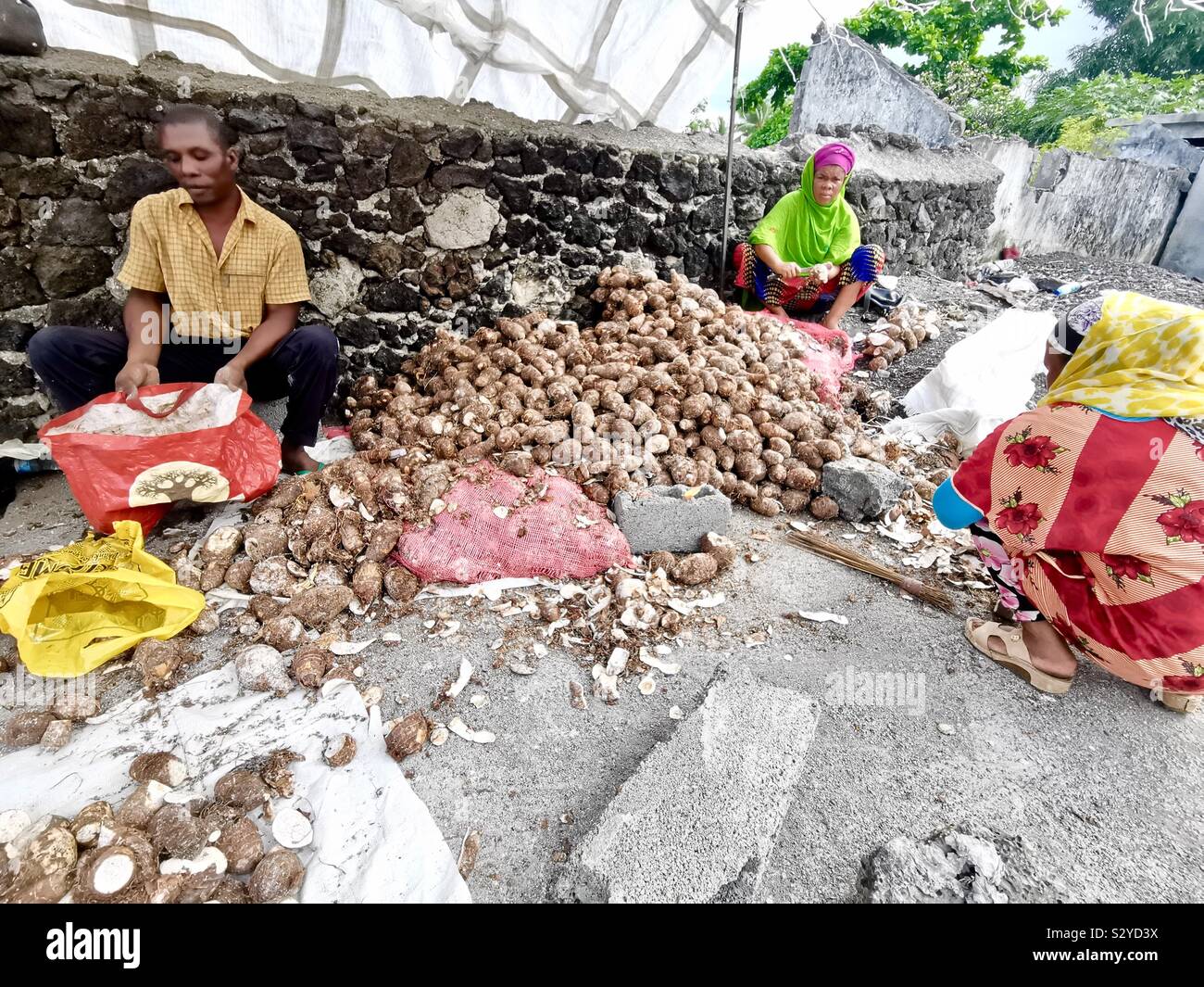 Local Comorans sorting fresh Yams at the vibrant market in Moroni, Comoros. - Smartphone Captured Stock Image