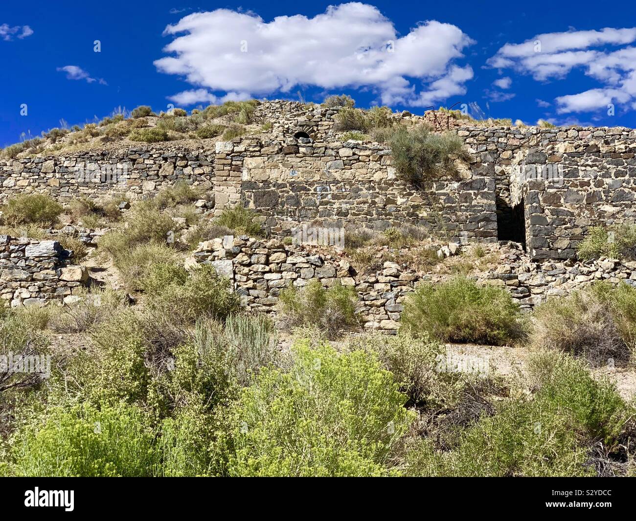 Ruins of Palmetto mining camp Stock Photo