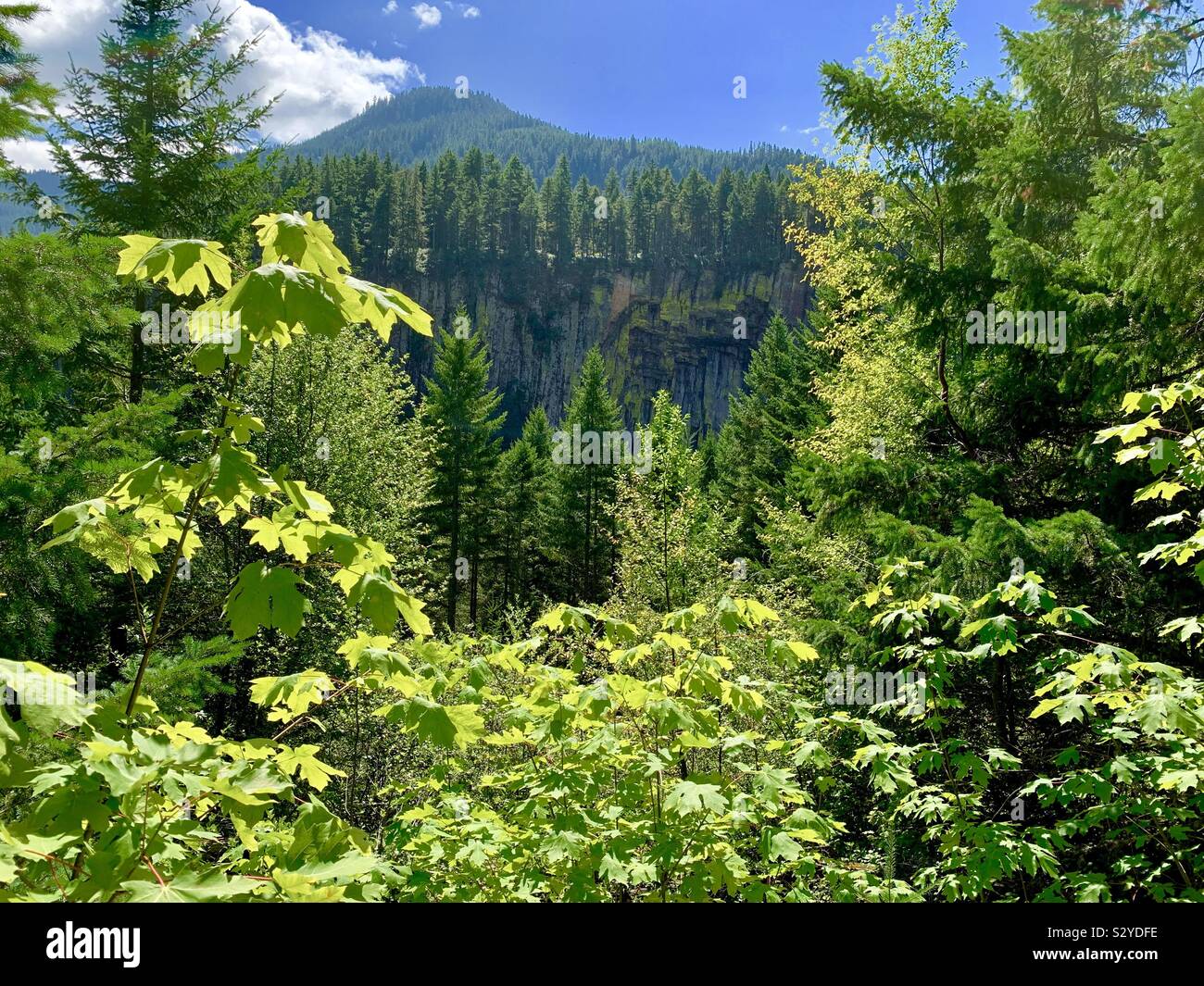 Pacific palisades hires stock photography and images Alamy