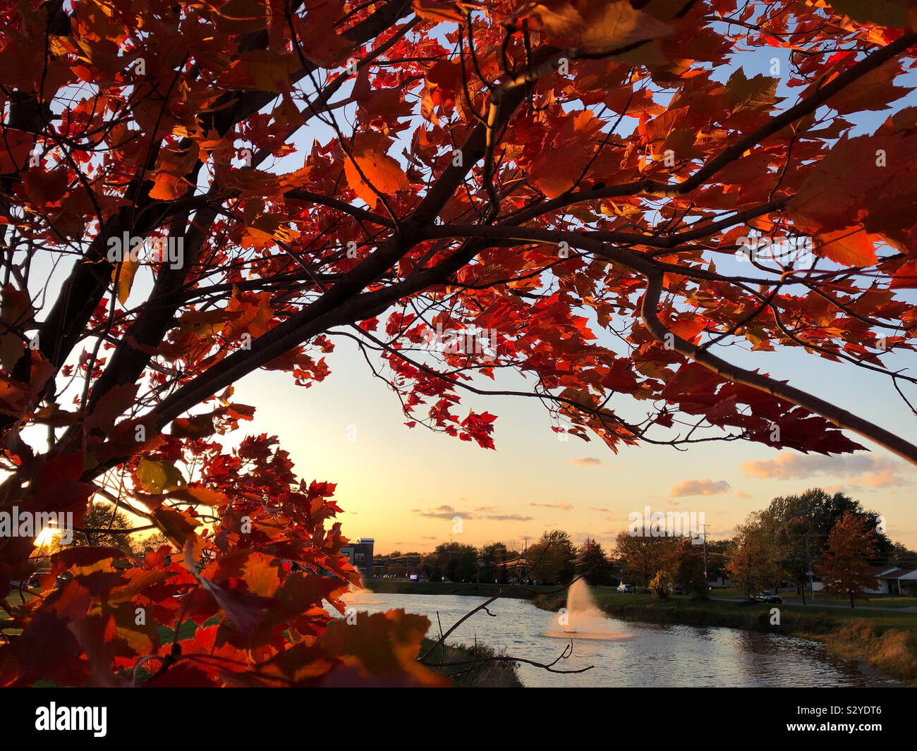 Beautiful fall scene at sunset - Smartphone Captured Stock Image