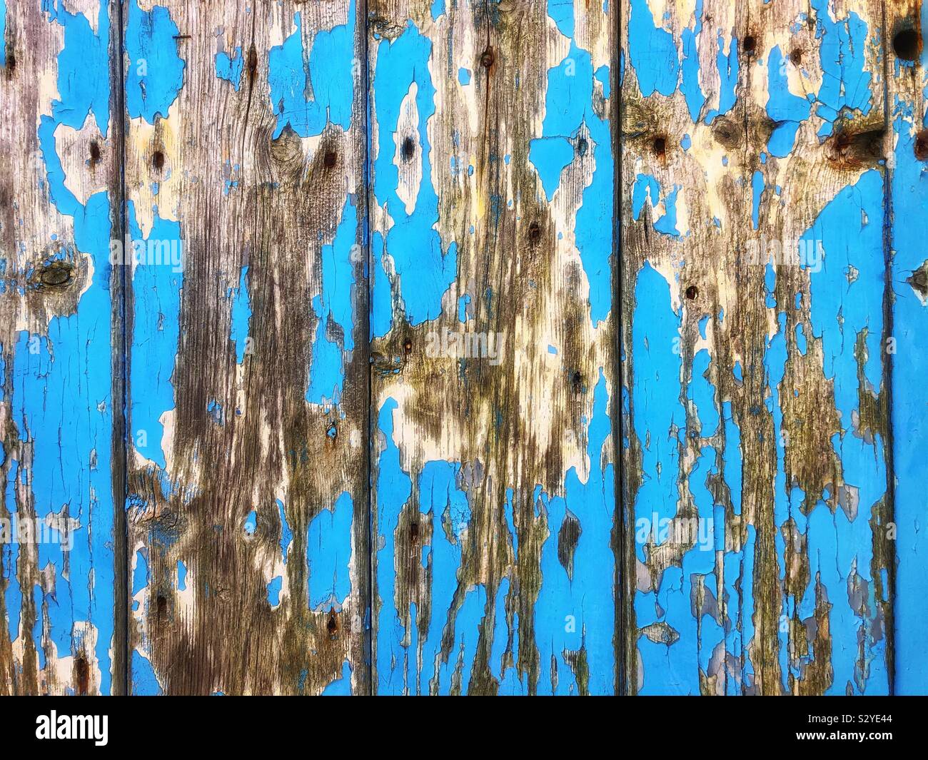 Old wooden door with peeling blue paint - Smartphone Captured Stock Image