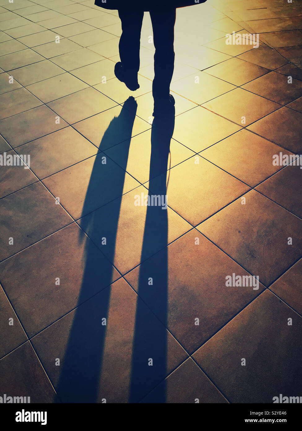 A man walking away and casting a long shadow. - Smartphone Captured Stock Image
