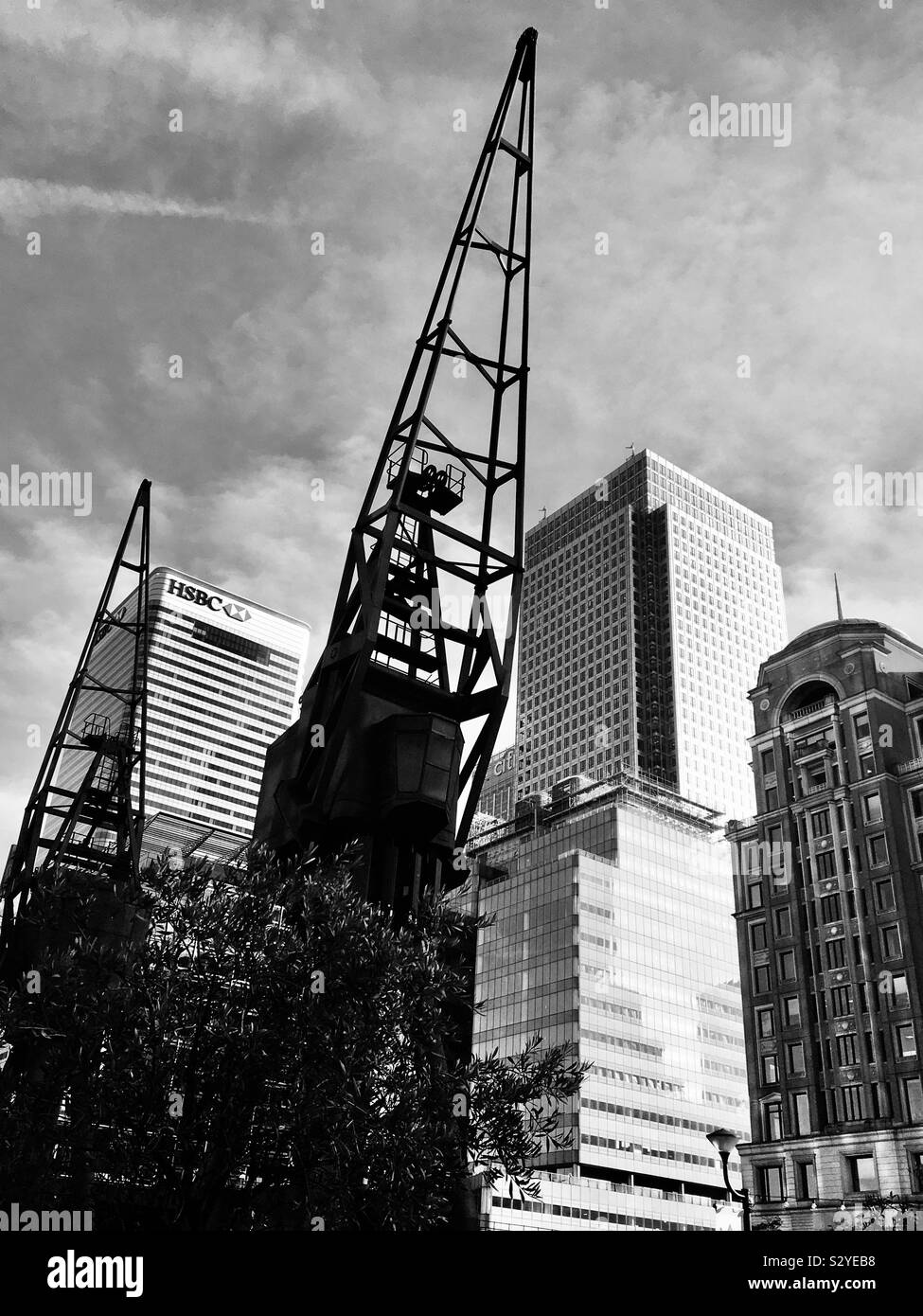 The Return of the Cranes: Canary Wharf, London, 2019 Stock Photo