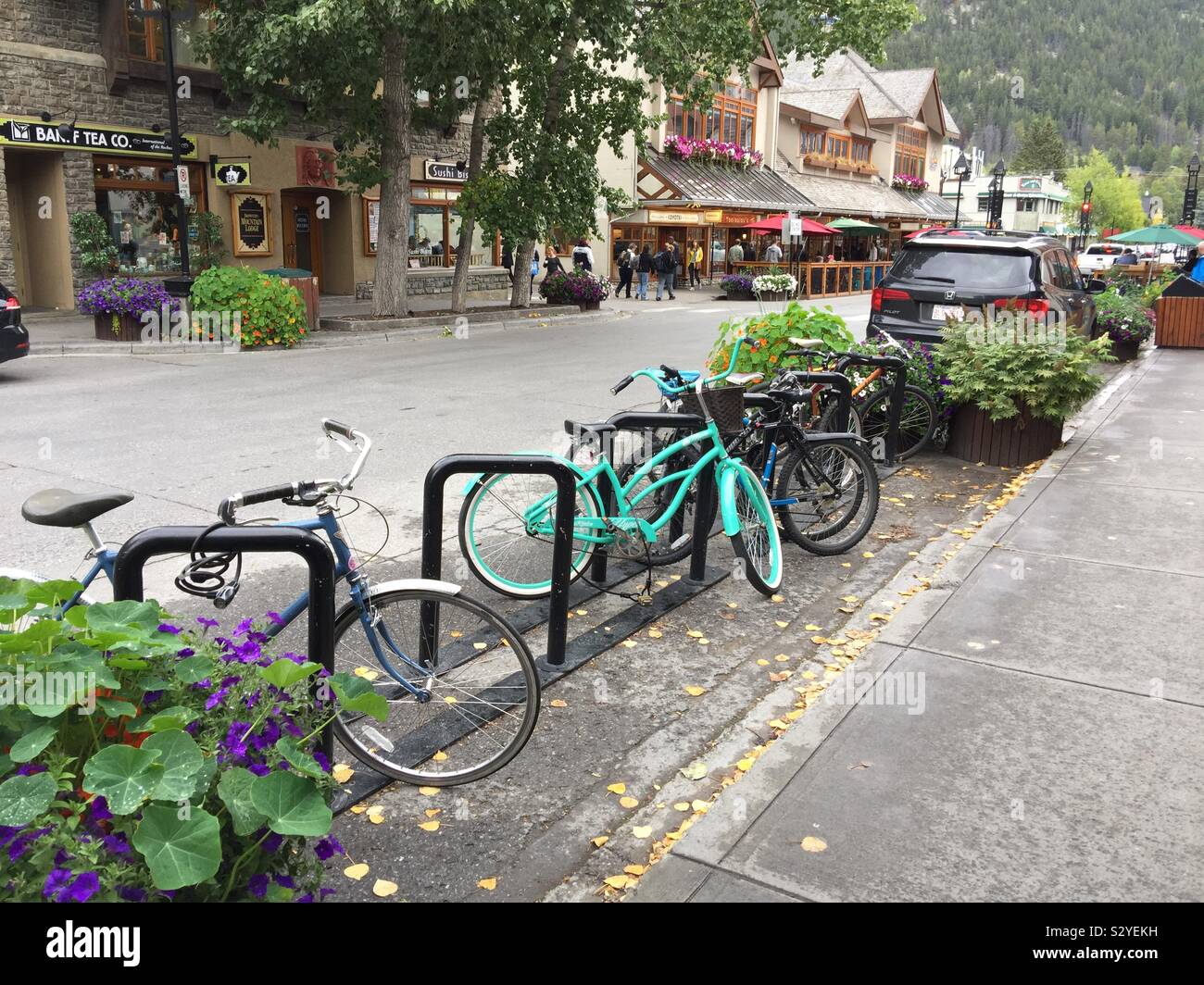 Visit town of Banff, Alberta, Canada, Banff National Park,street