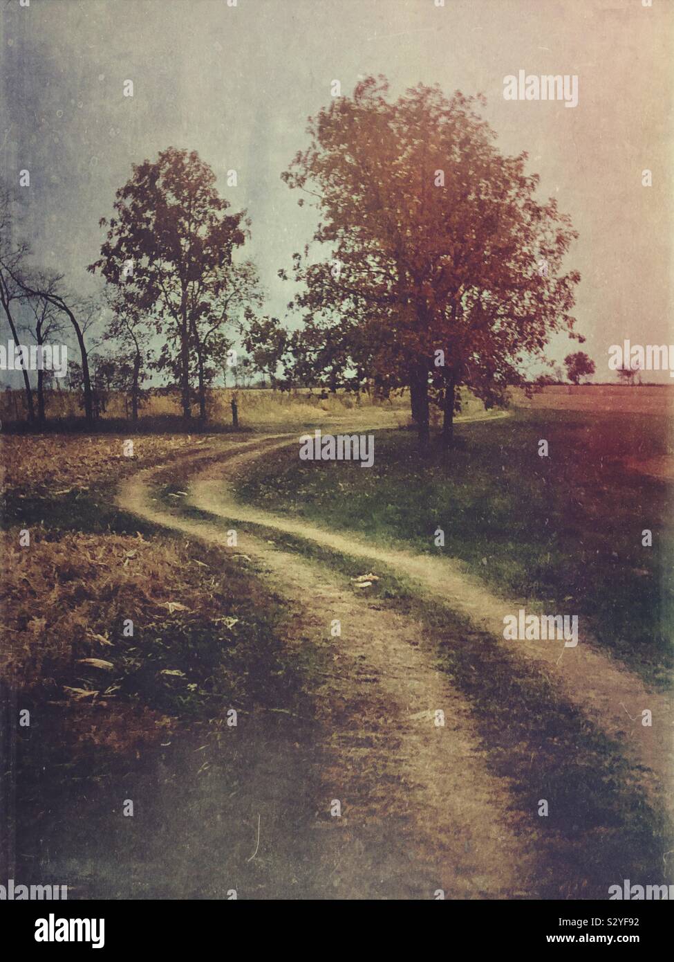 A curve in a dirt road during the autumn season.  A Mextures filters has been applied. - Smartphone Captured Stock Image