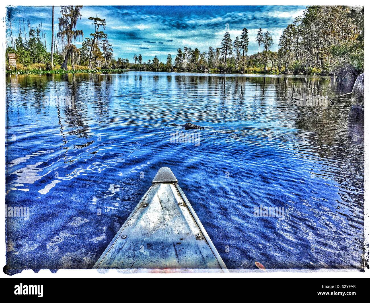 Prehistoric alligator hires stock photography and images Alamy