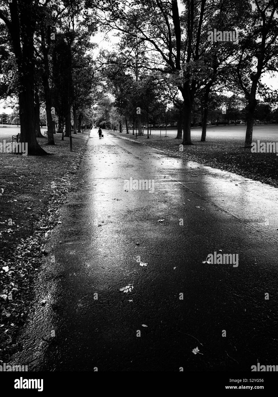 Solitary figure in the park - Smartphone Captured Stock Image