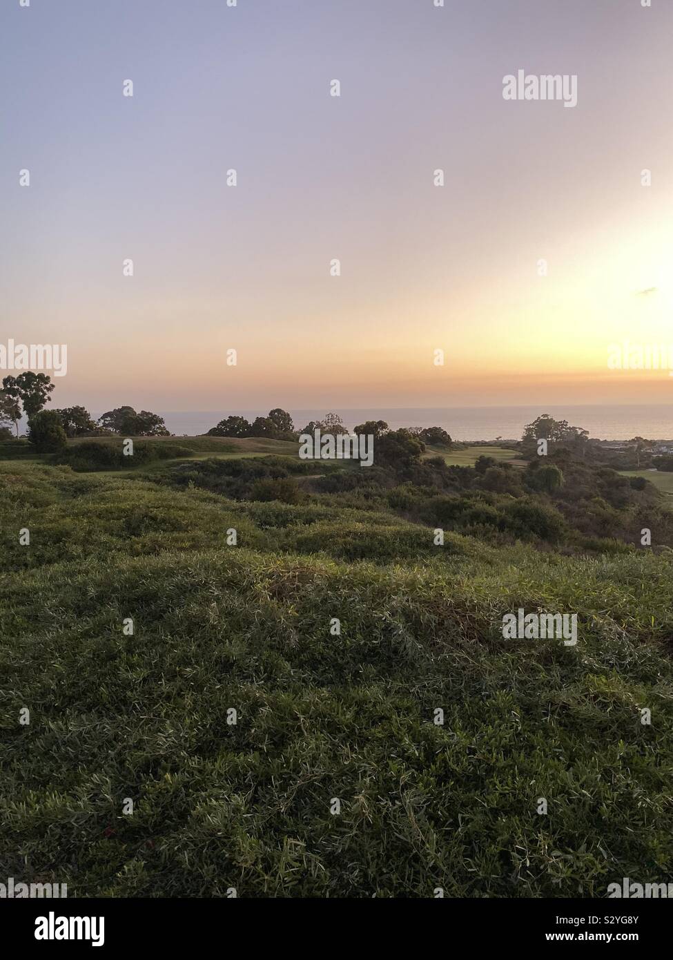 Pastel sunset skies with rolling green landscape and view of the Pacific Ocean water - Smartphone Captured Stock Image