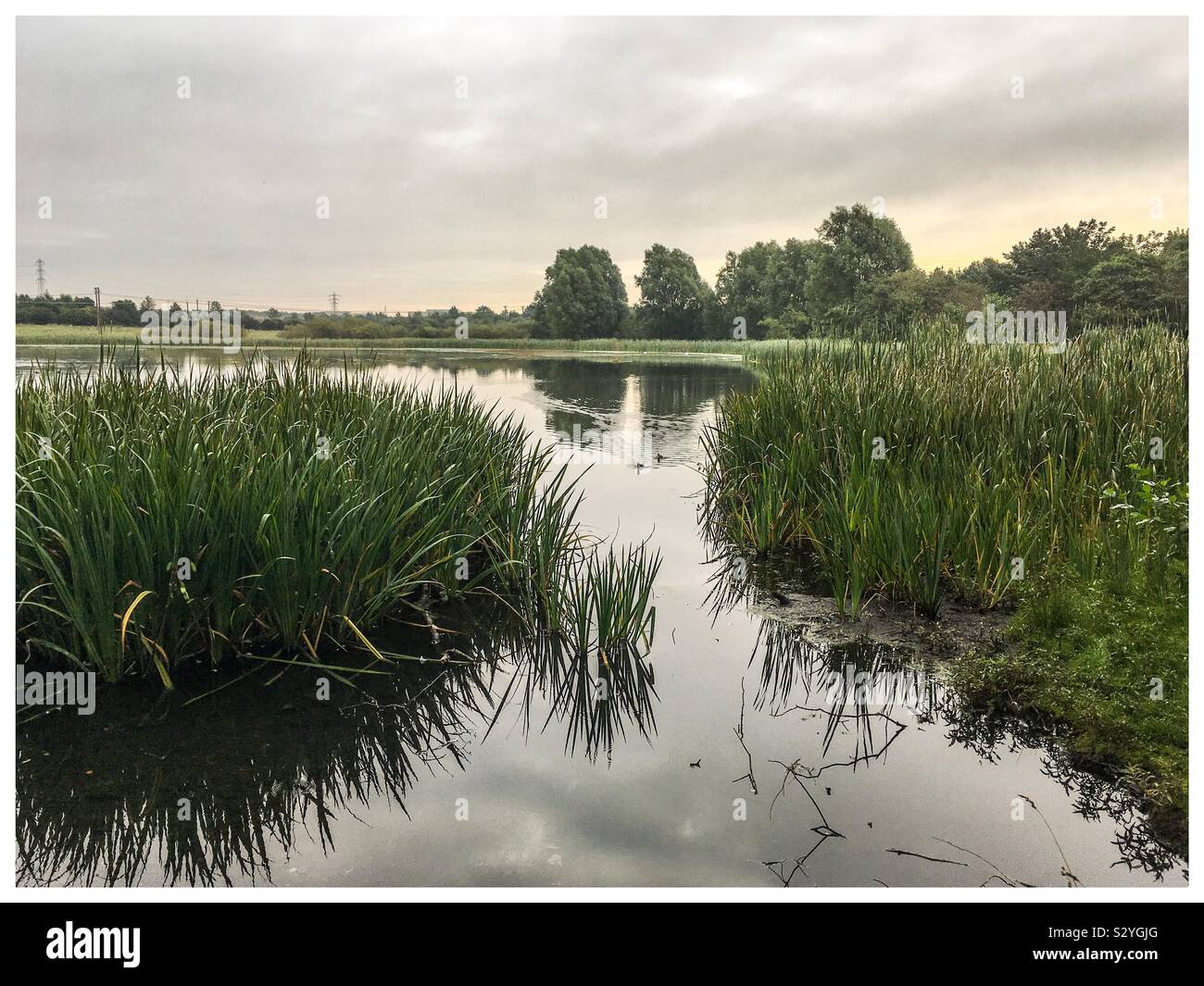 Wildlife lake at The Rising Sun Country Park near Battle Hill in North Tyneside - Smartphone Captured Stock Image