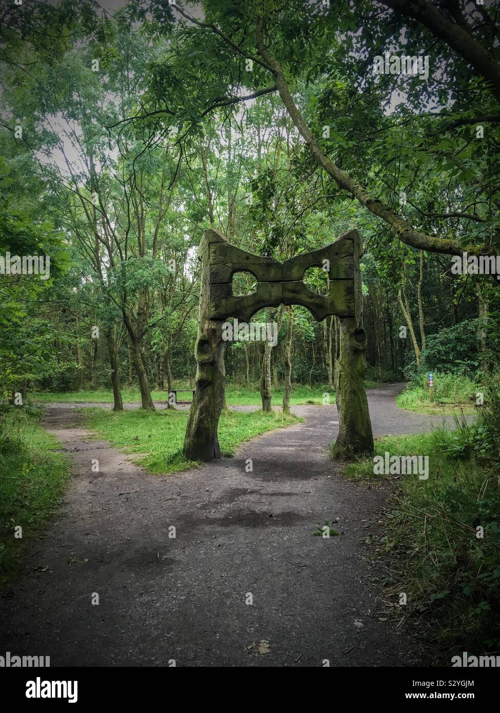 Hare’s Hips carving in the Rising Sun Country Park, North Tyneside - Smartphone Captured Stock Image