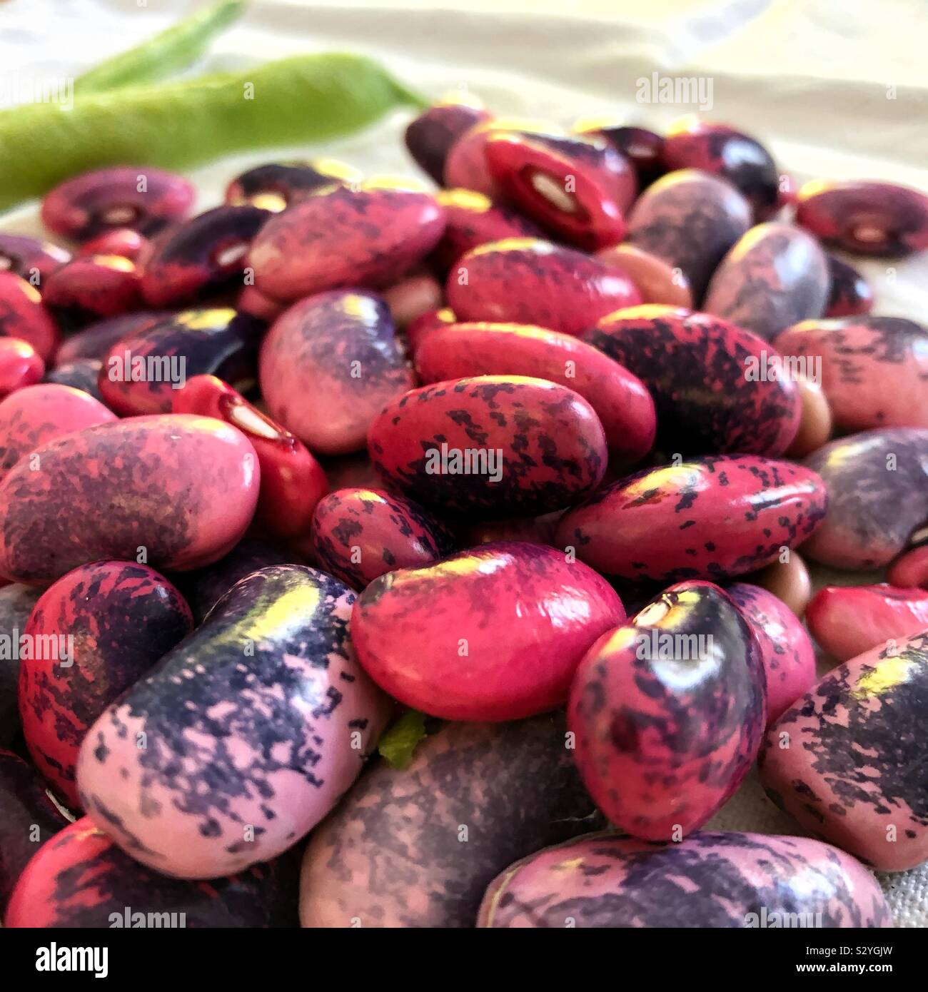 Scarlet runner beans hires stock photography and images Alamy
