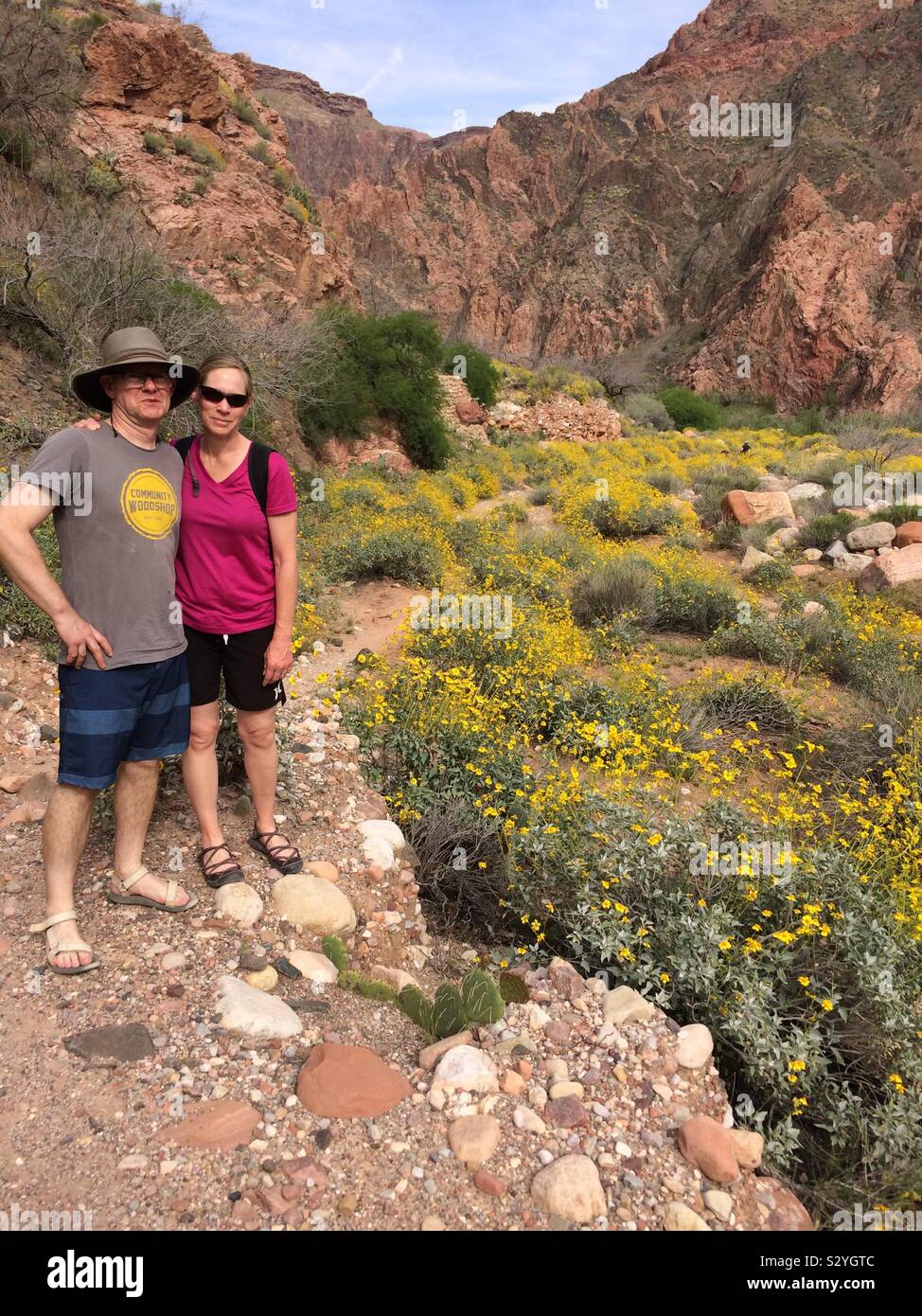 Grand Canyon wildflowers tom Amy - Smartphone Captured Stock Image