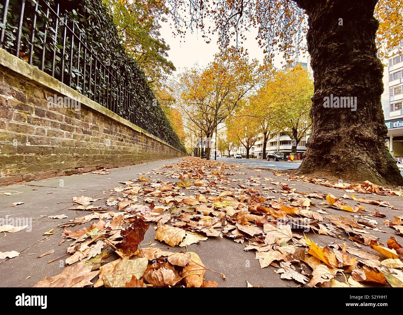 Bayswater road hires stock photography and images Alamy