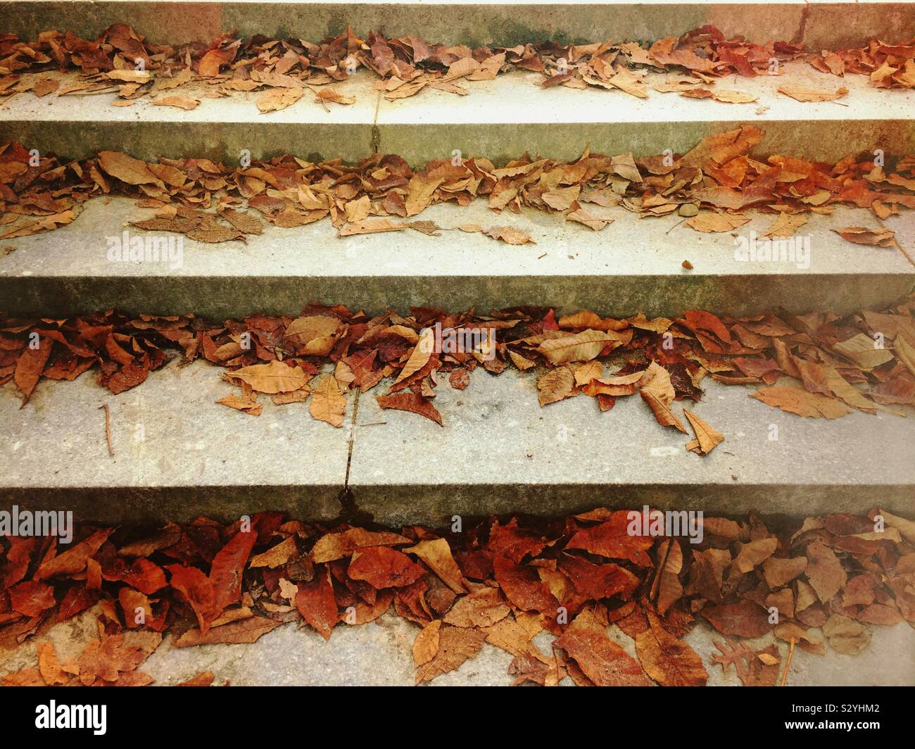 Fallen autumn leaves in the steps - Smartphone Captured Stock Image Fallen autumn leaves in the steps - Smartphone Captured Stock Image
