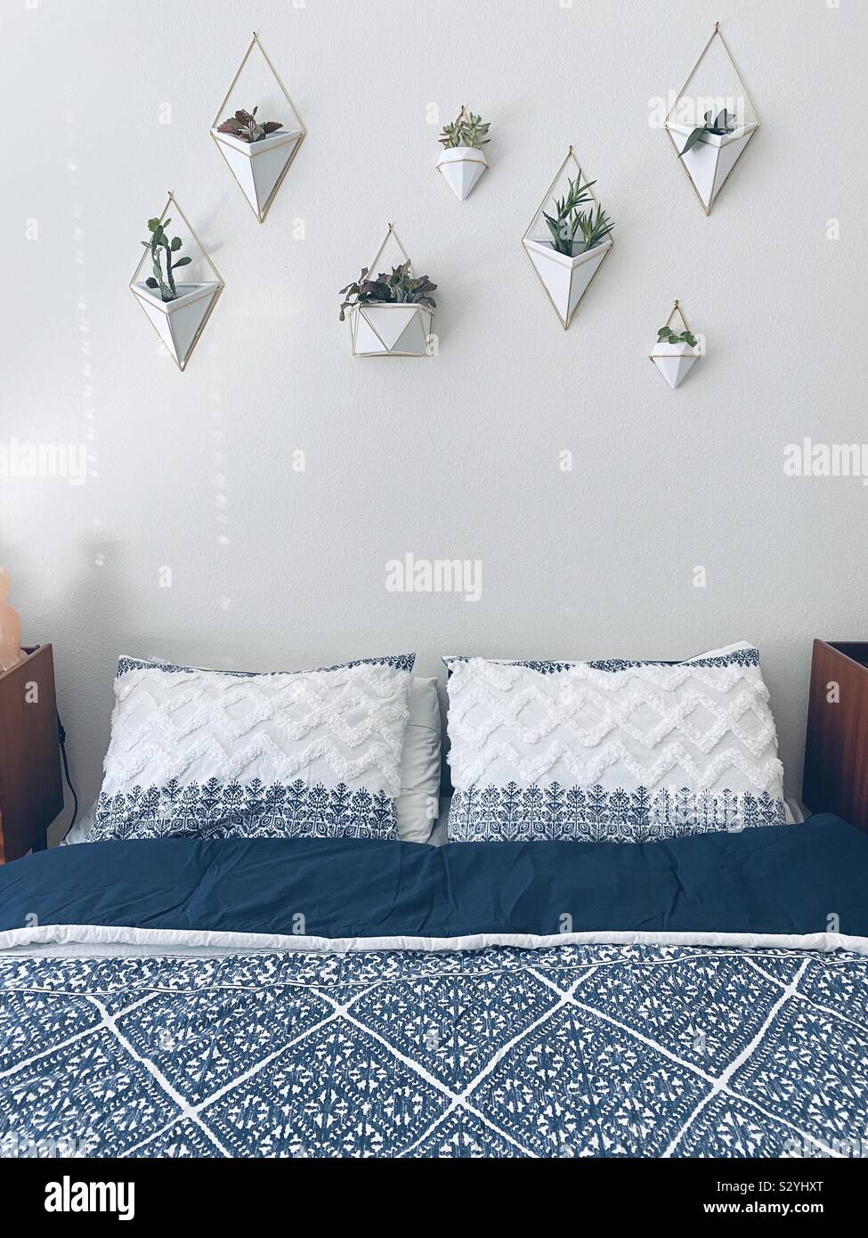 Hanging indoor houseplants and succulents - Smartphone Captured Stock Image