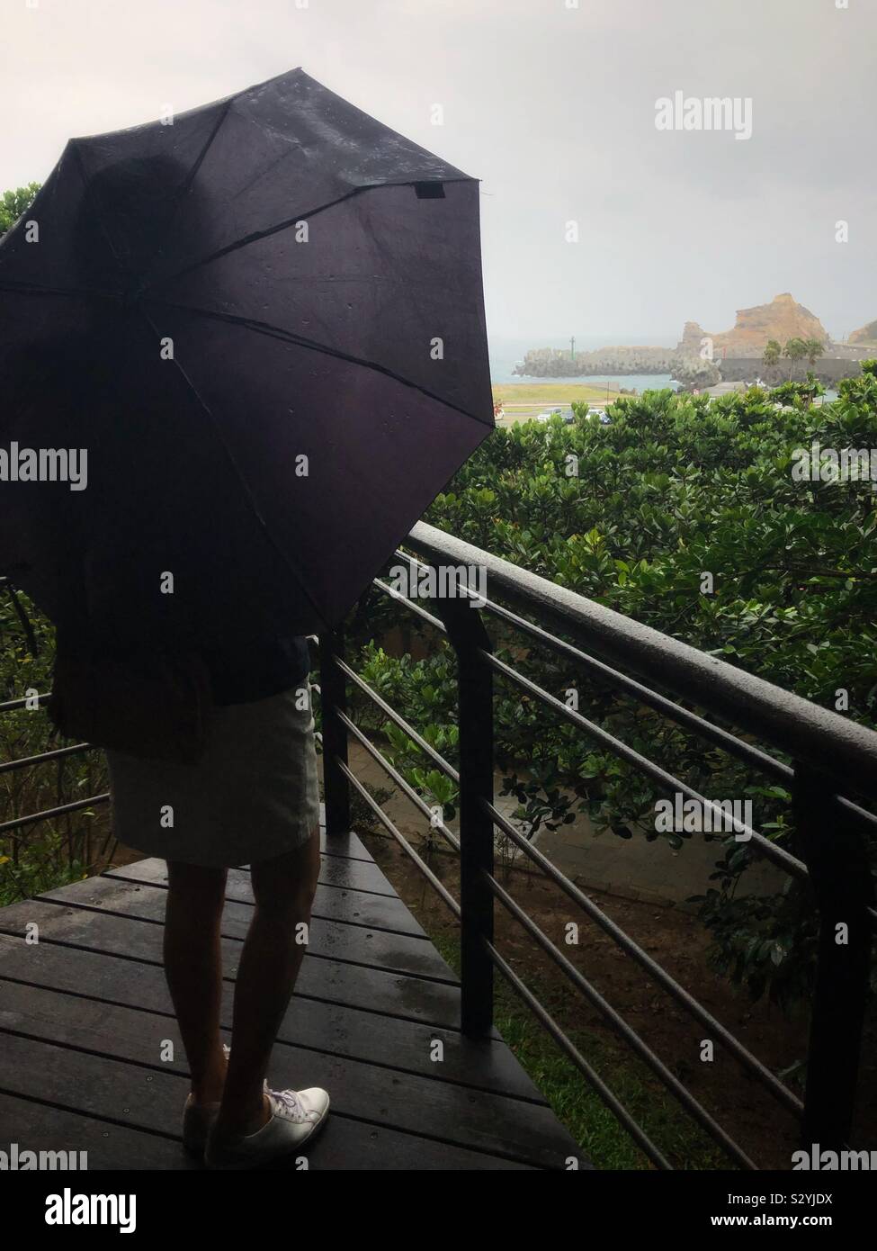 Woman standing in the rain under a black umbrella. - Smartphone Captured Stock Image