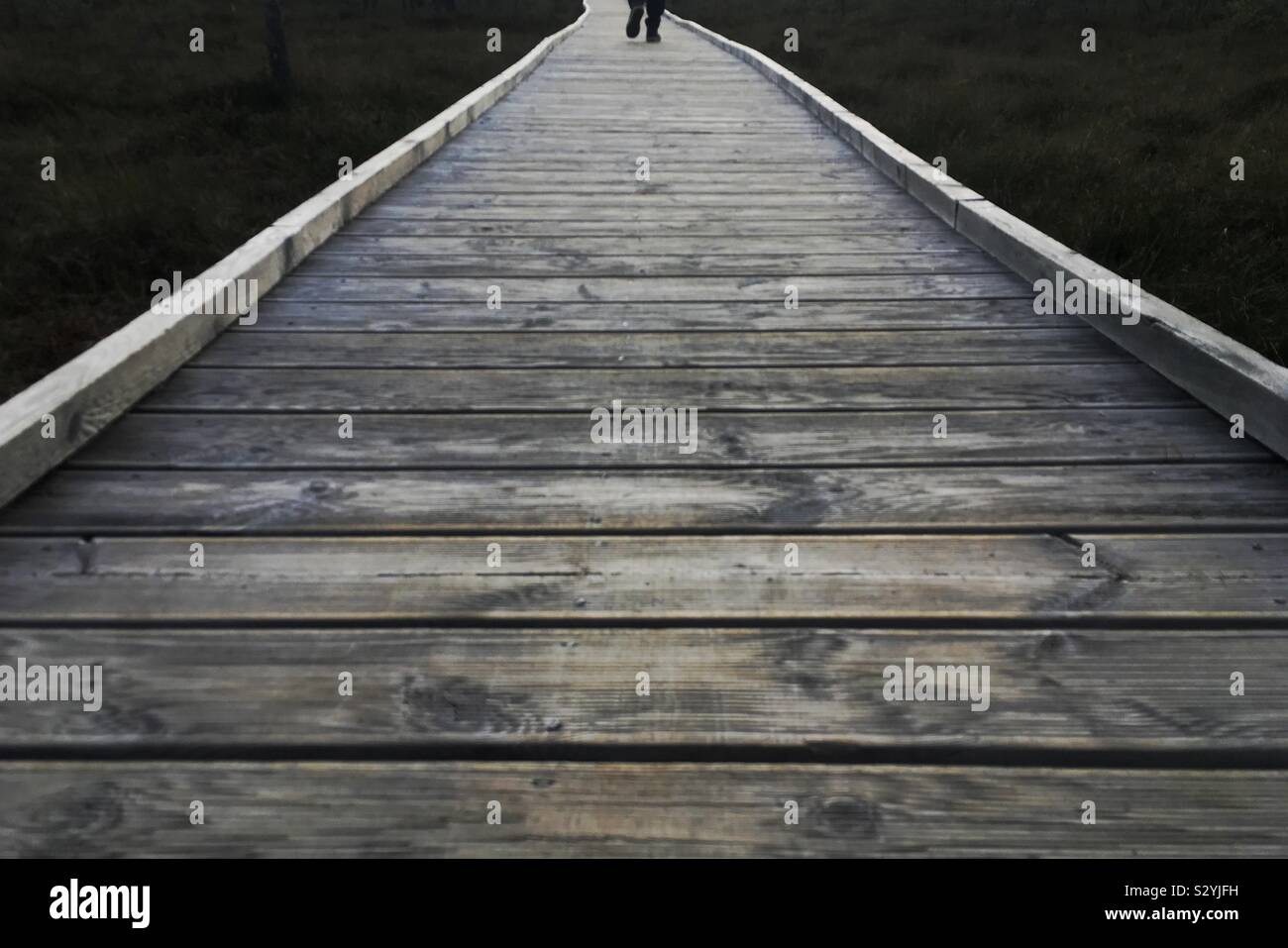 Viru bog, Estonia - Smartphone Captured Stock Image
