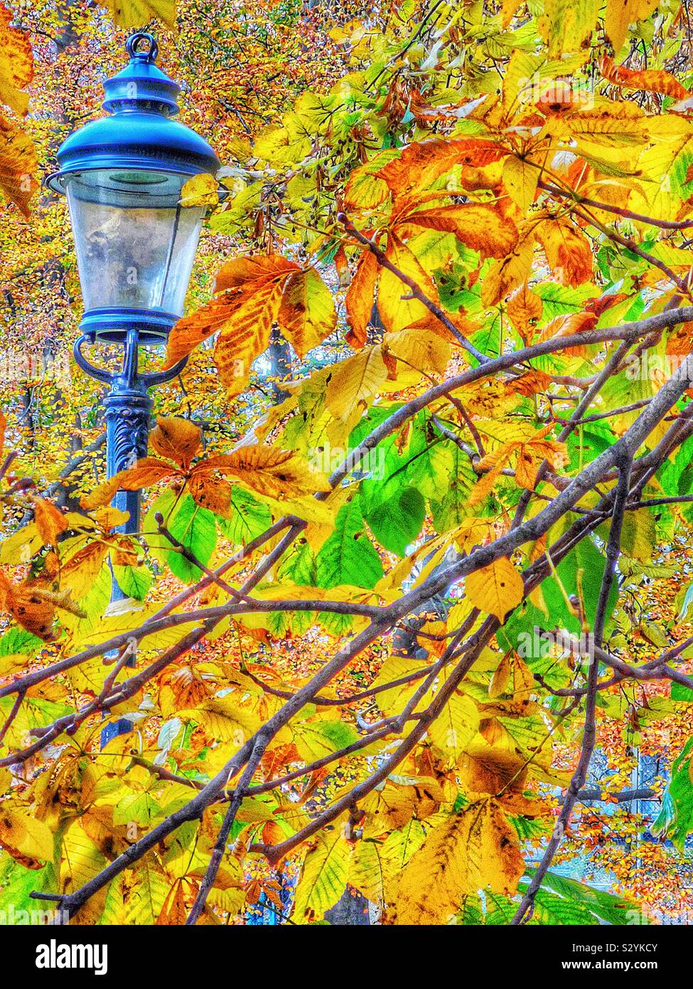 Colourful orange and yellow autumn leaves and old style street lamp, Sweden Stock Photo