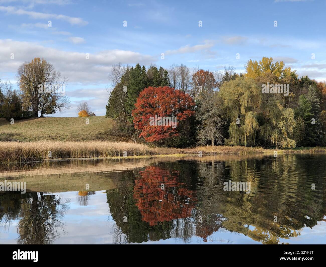 The colours changing along Mississippi river in Ontario, Canada, October 25, 2019 - Smartphone Captured Stock Image
