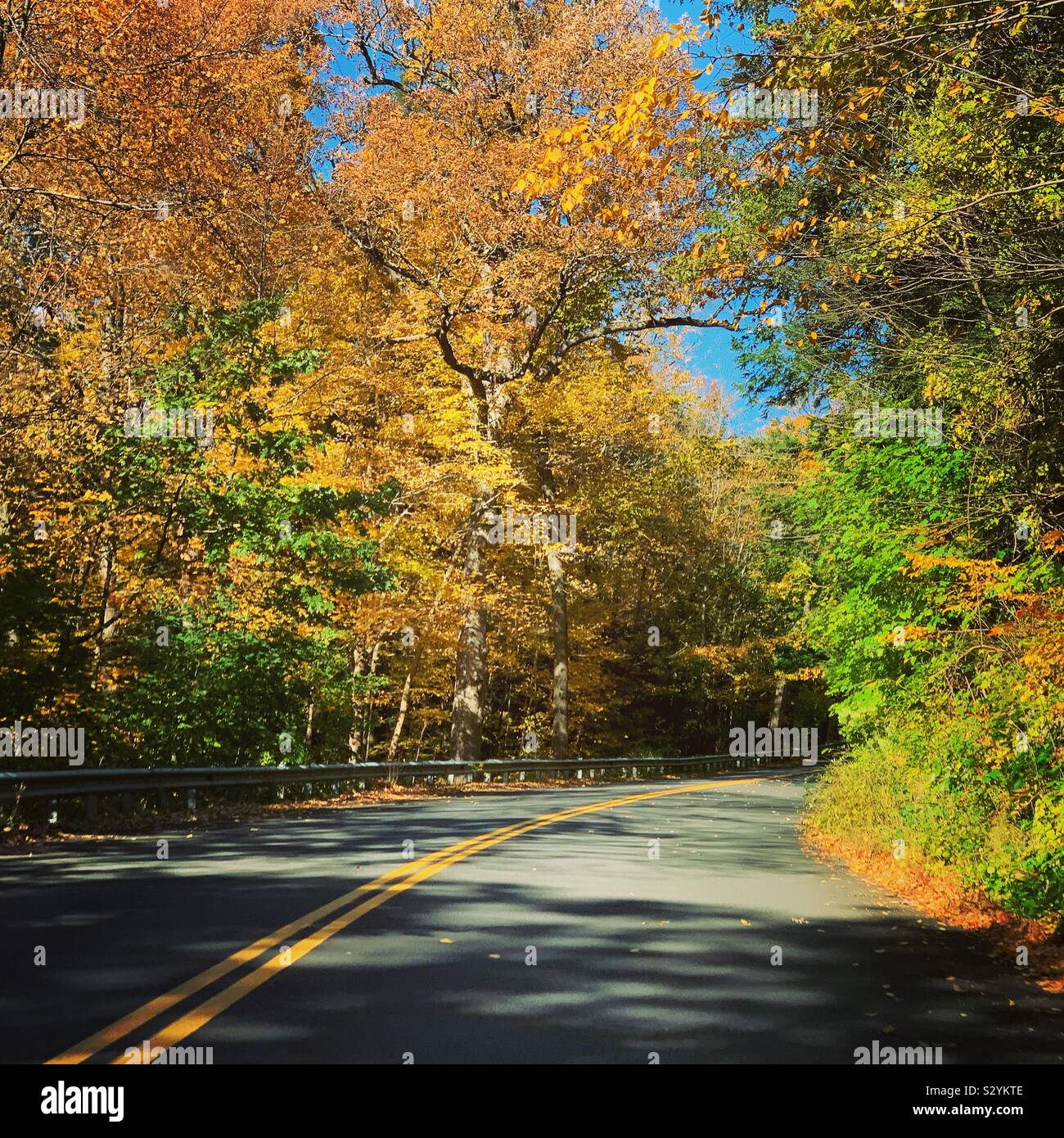 An autumn drive in New England, United States - Smartphone Captured Stock Image