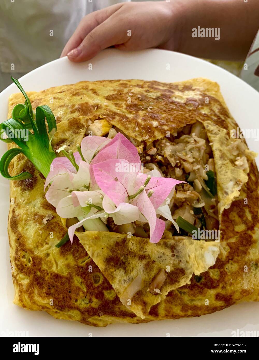Egg wrapped Pad Thai Stock Photo Alamy