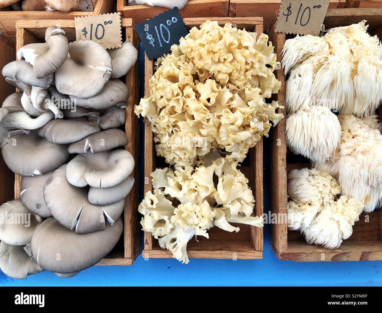 Variety of wild foraged mushrooms at farmers market - Smartphone Captured Stock Image