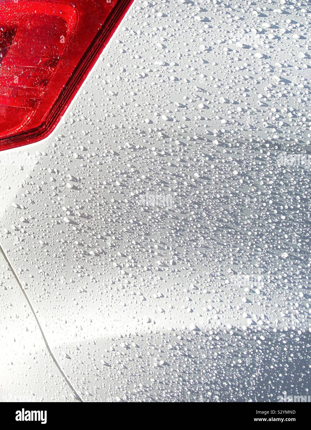 Globules of rain water on the waxed body of a car Stock Photo