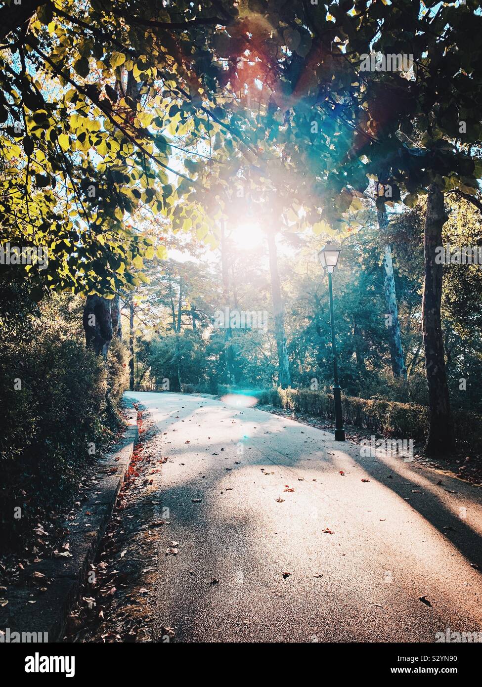 Thank you nature Stock Photo - Alamy